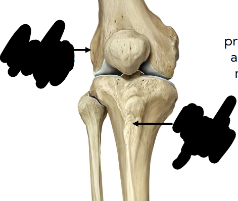 <p>name attachment </p>