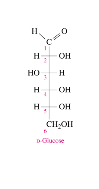 <p>The disaccharides; sucrose, lactose and the polysaccharides such as cellulose and glycogen</p>