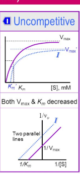 <p>Uncompetitive, the lines are parallel and backward</p><p>X-inter of the inhibitor is farther from origin (which means lower km) and the y-inter is higher which means that Vmax is lesser</p><p></p><p></p>
