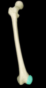 <p></p>