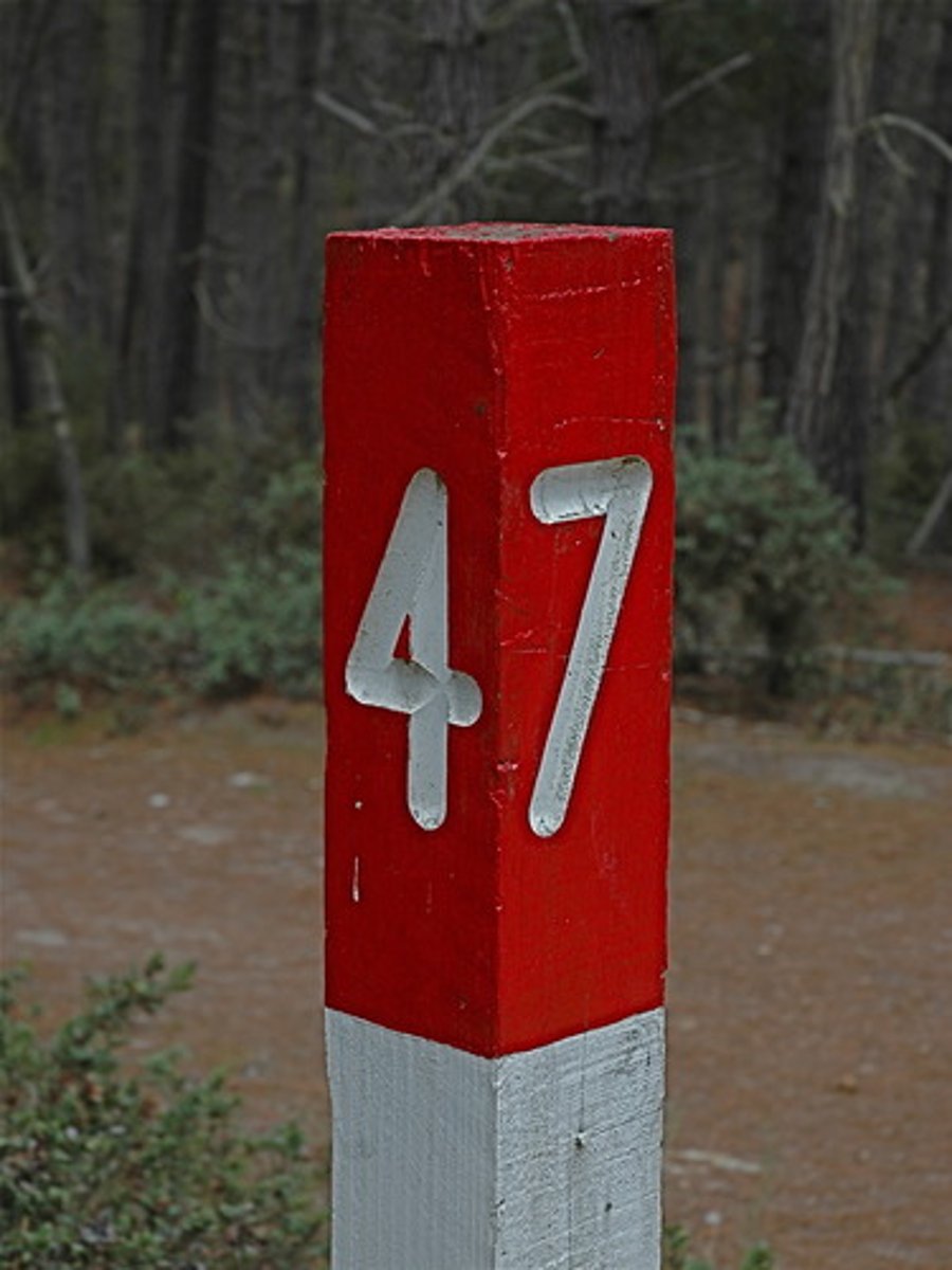 <p>47 (forty-seven)</p>