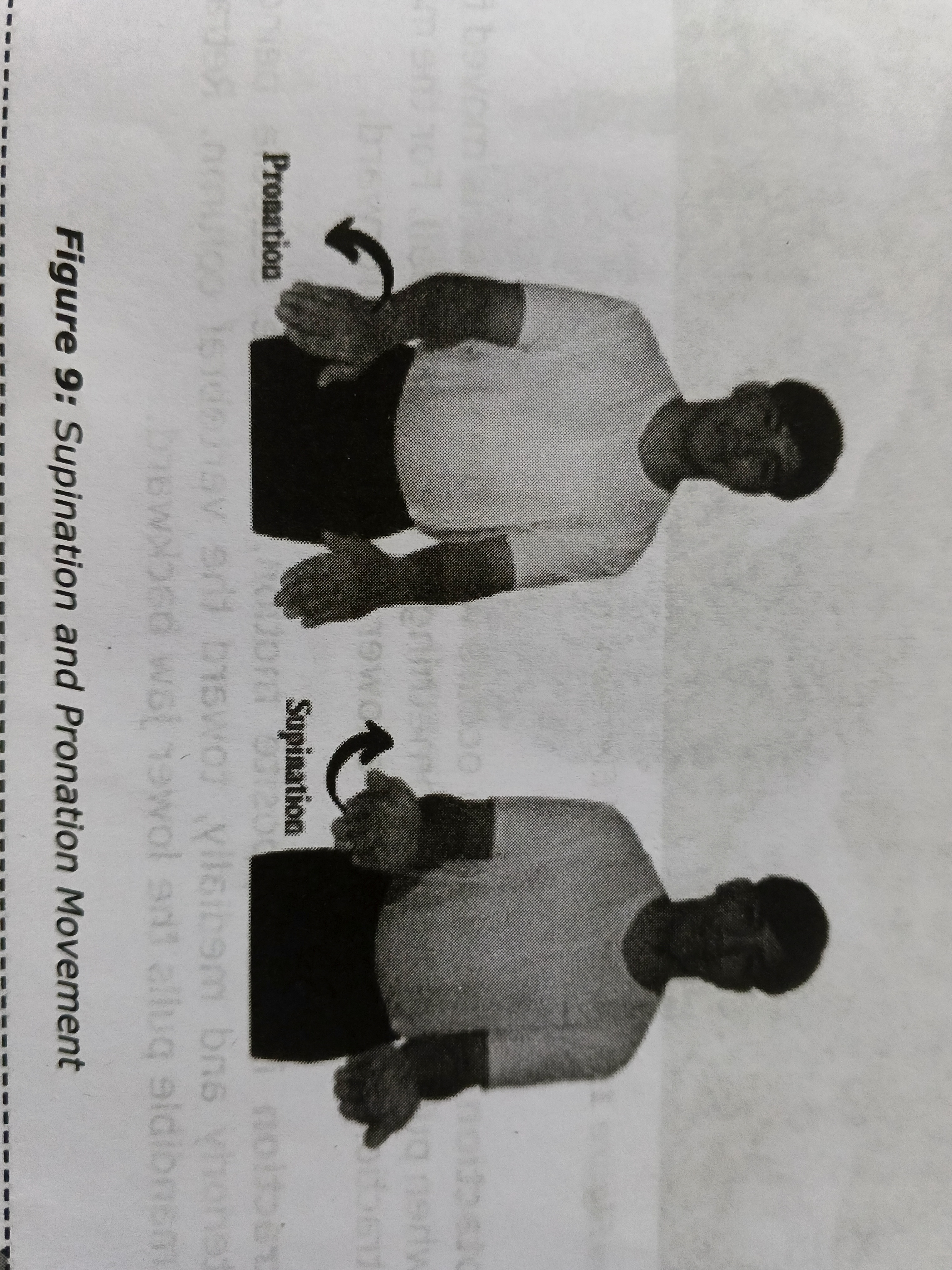 <p>Turning the palm forward !! <span data-name="high_five" data-type="emoji">✋</span> </p>