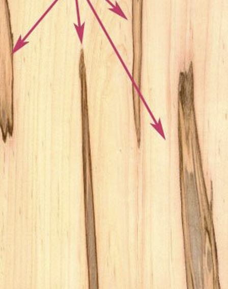 <p>Appearance: an olive to greenish-black or brown discoloration of wood cell layers. Occurs in sapwood or heartwood. Caused by unknown soil factors while tree is living (could be wound caused mineral deposits). Effect: hardness, brittleness, dimensional instability.</p>