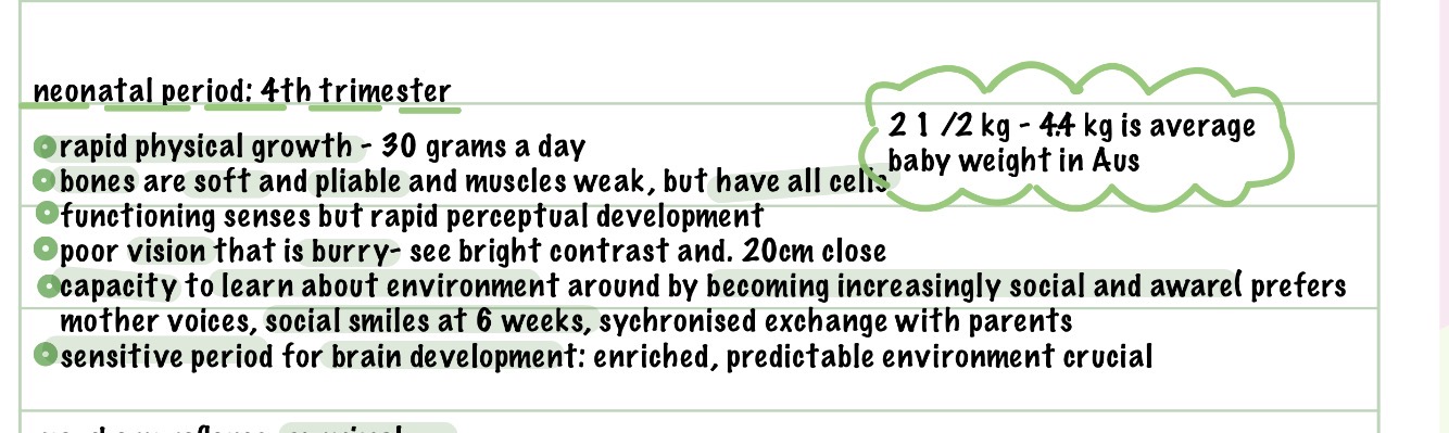 <p>The first few weeks after birth, where rapid physical growth occurs.</p>