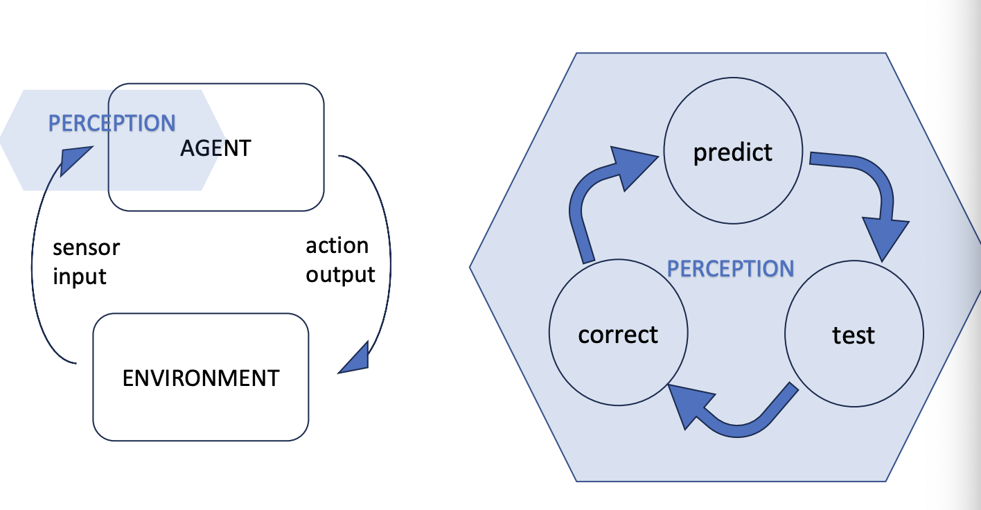 <ul><li><p>perception isn’t that gap we talked about</p><ul><li><p>the circle is in the perception in the agent environment loop </p></li></ul></li><li><p>that cgap is comparing the input that to the past memories and then testing. </p></li></ul><p></p>