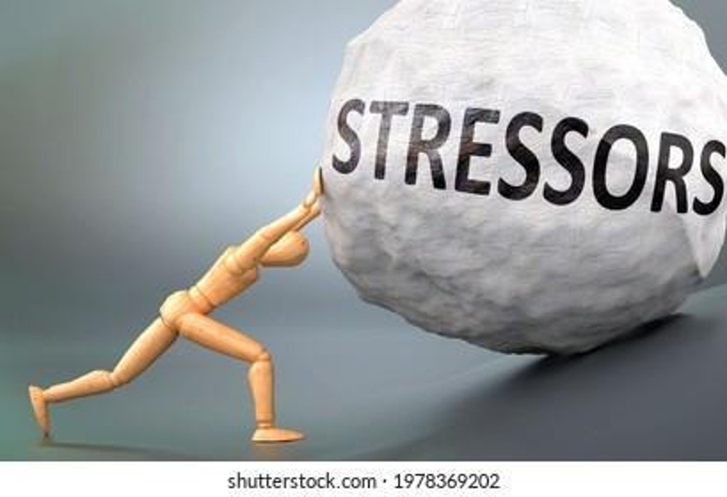 <p>Stimuli causing feelings of stress.</p>