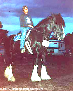 <p>Shire</p>