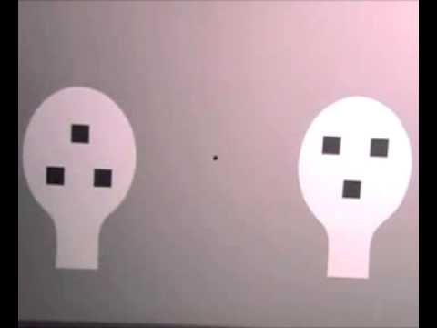 <ul><li><p>infant attraction toward the contrast between light and shadow created by human facial features</p><ul><li><p>prefers contrast at abt 10 days</p></li><li><p>by 6 weeks, recognizes human-like features</p></li></ul></li></ul><p></p>