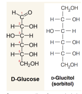 <p>result of reduction of the sugar carbonyl. Sometimes creates inner molecular symmetry. These sugar alcohols are used widely in the food industry as thickeners and sweeteners. Does not cause tooth decay and arent absorbed well to small intestine.</p>
