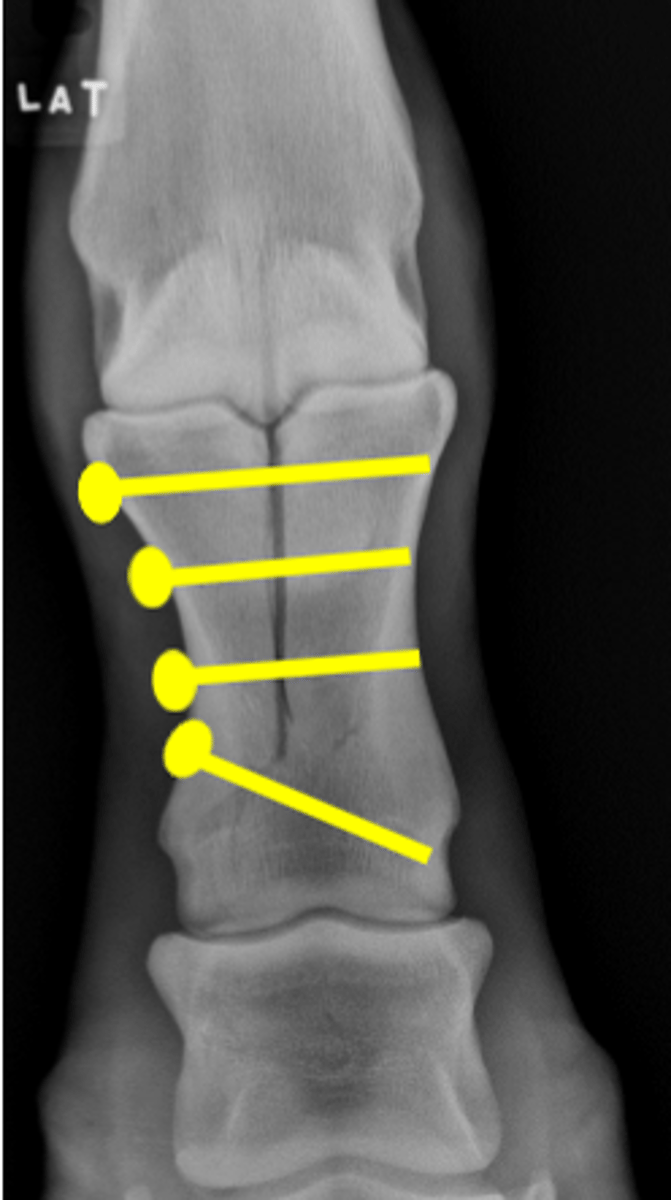 <p>What is this?</p>