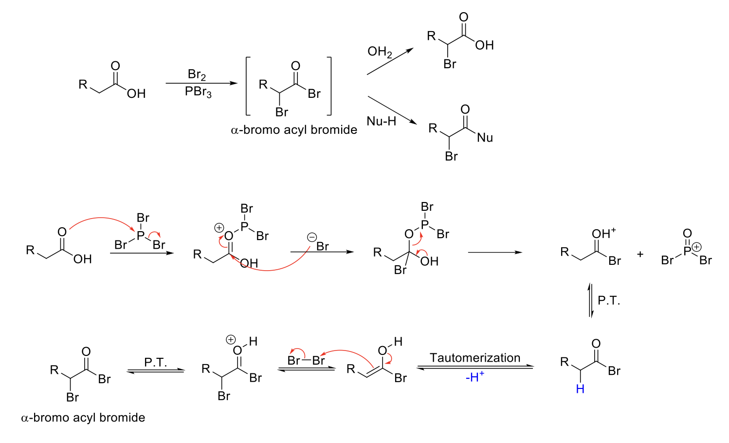 <p><strong>Mechanism:</strong></p><p>1) C=O bonds to P and kicks out a Br.</p><p>2) -Br attacks C=O and double bond removed.</p><p>3) Lone pair from OH kicks out OPBr2+. </p><p>4) C=OH+ is deprotonated.</p><p>5) Tautomerization to enol form.</p><p>6) Formation of C=O bond, double bond attacks bromine, Br<sub>2</sub> bond breaks.</p><p>7) C=OH<sup>+</sup> deprotonated.</p><p></p><p><strong>Notes:</strong></p><p>Alpha bromination on carboxylic acids, esters, and amides.</p><p>Br2 and PBr3 forms an α-bromo acyl bromide.</p><p>α-bromo acyl bromide can be reacted with a nucleophile to replace acyl bromide.</p>