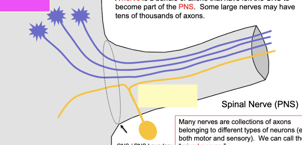<p>What is yellow</p>
