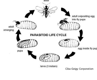 <p>explain this illustration</p>