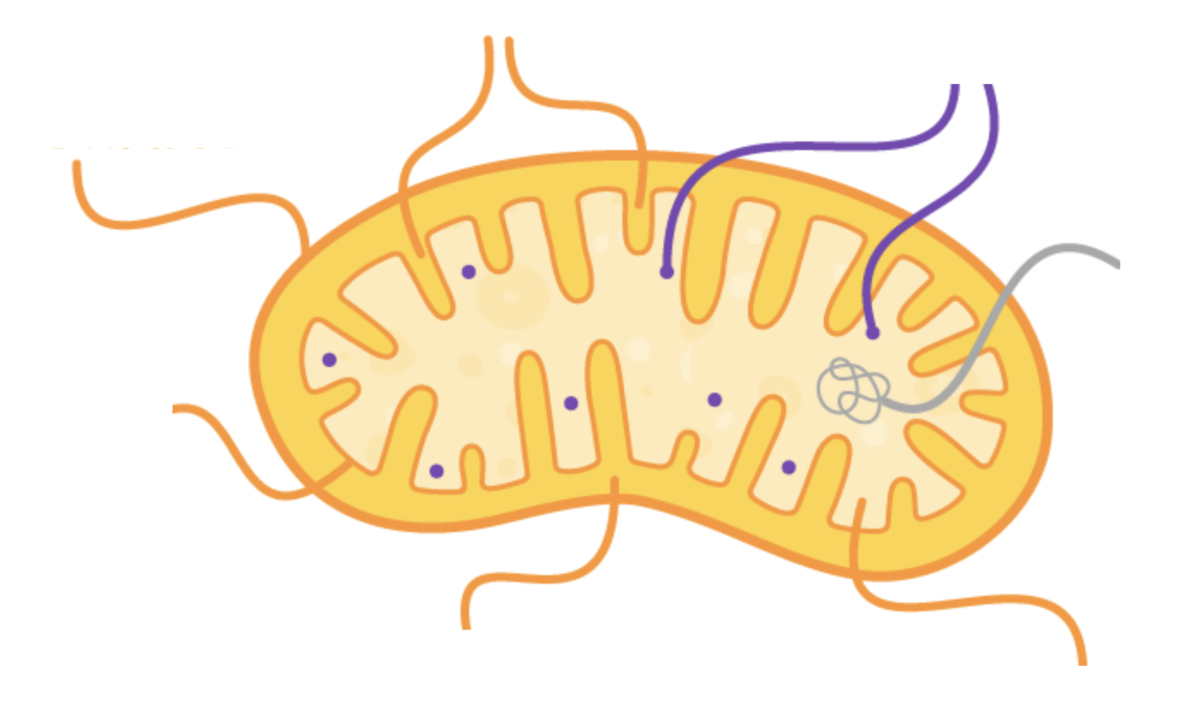 <p>Label this diagram</p>