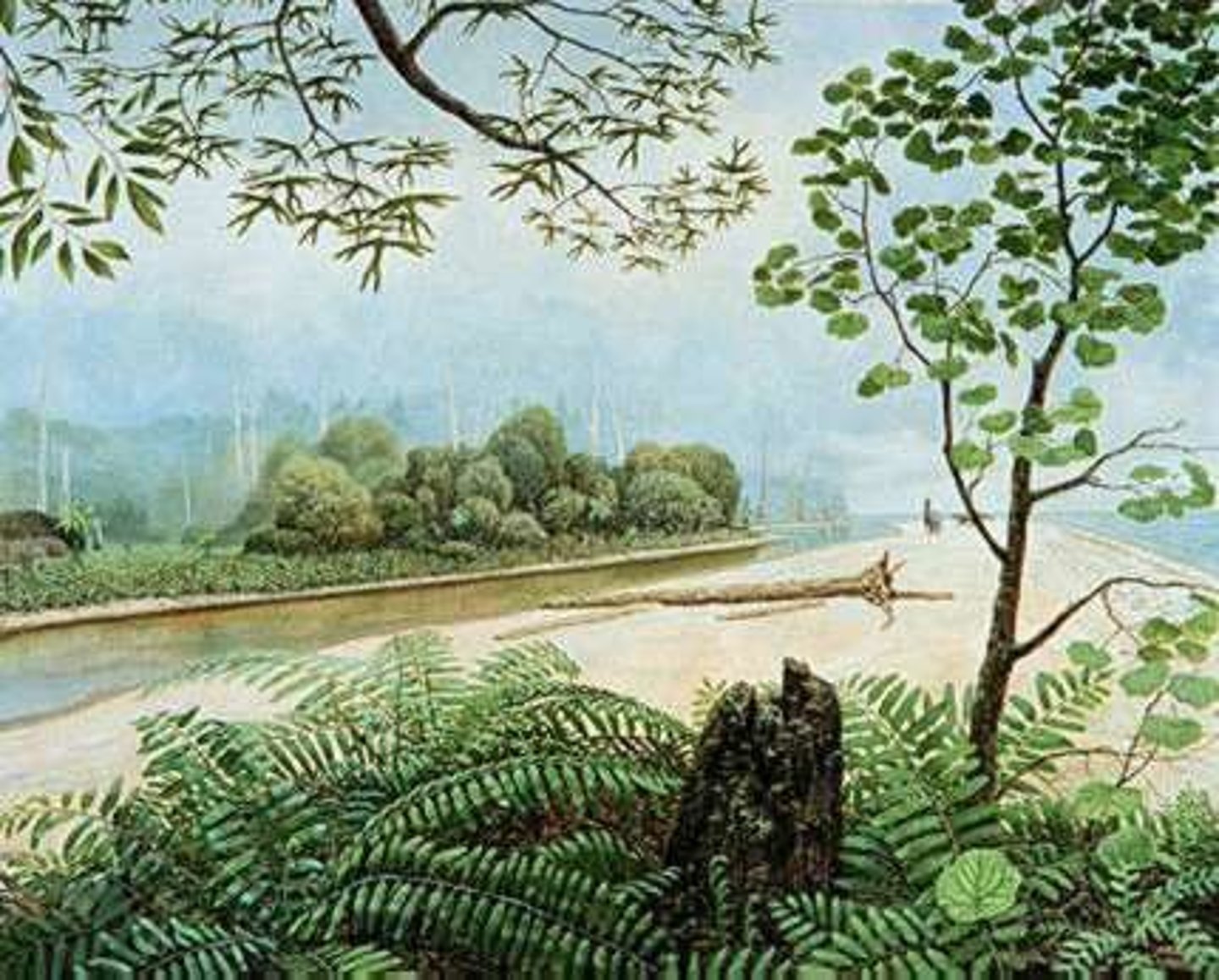 <p>Cretaceous, Colorado's East Coast</p>