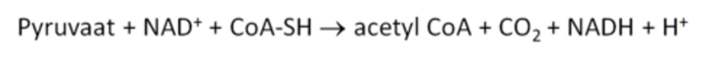 <p>- oxidatieve decarboxylering</p><p>- enzyme: pryruvaatdehydrogenase complex</p><p>- er wordt 1 NAD+ gereduceerd</p>