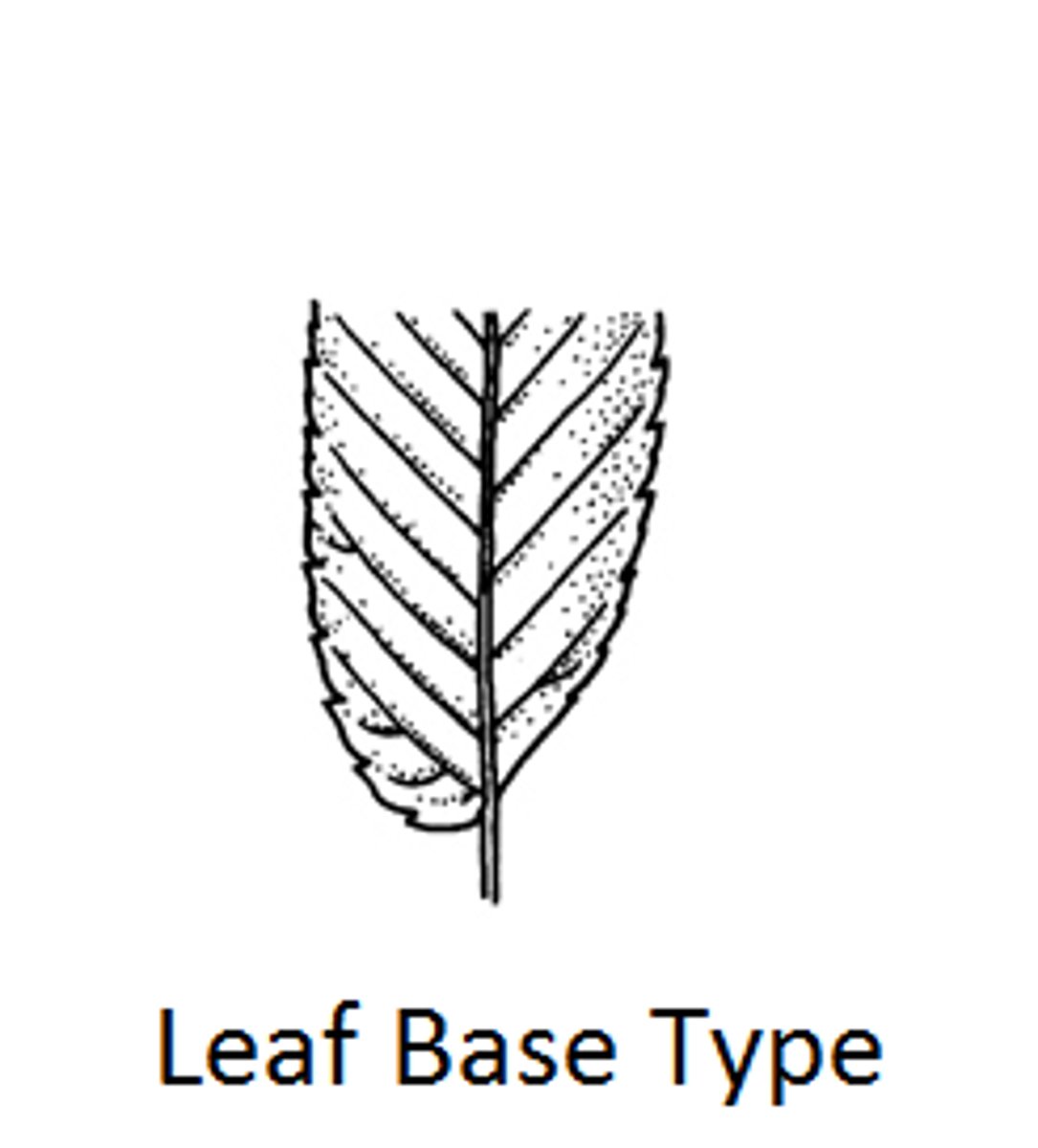 <p>unequal sides</p>