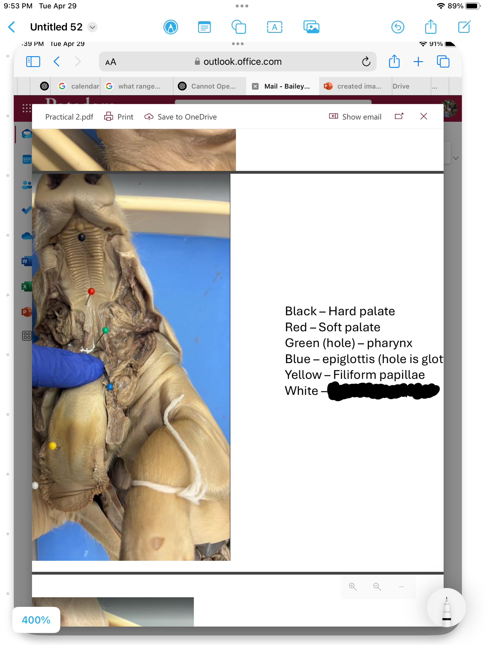 <p>label the area</p>