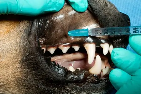 <p>anesthesia used to numb a specific area without causing loss of consciousness</p>