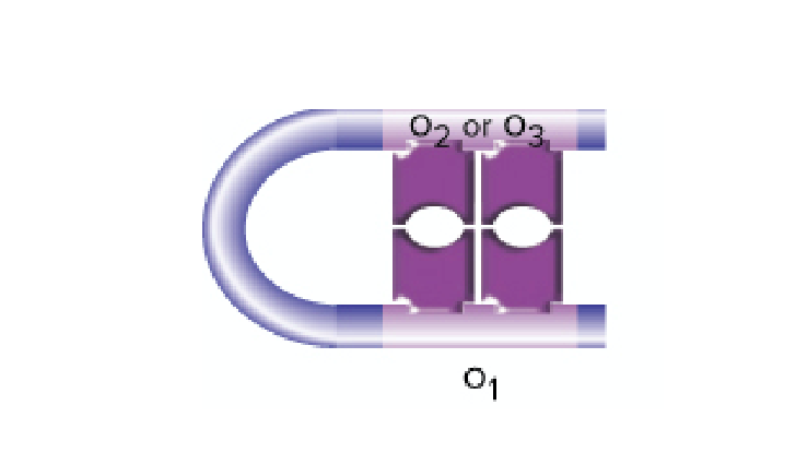 <p>forms an active tetramer (has 4 subunits)</p><ul><li><p>binds to two conserved sequences of dna</p><ul><li><p>causes it to loop</p></li></ul></li><li><p>looping of dna prevents access of rna pol to promoter</p></li></ul><p></p>