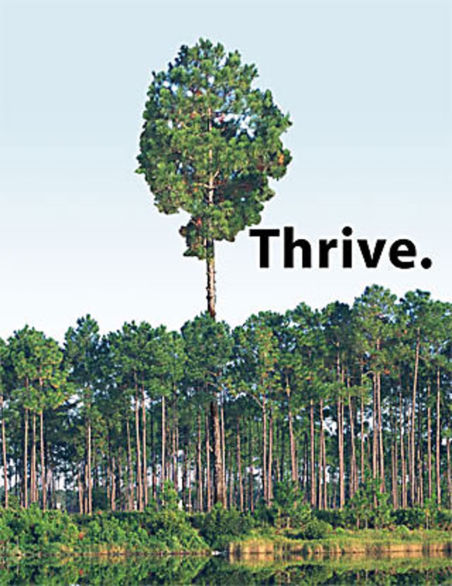<p>To grow, develop, or be successful</p><p>(phát triển mạnh)</p><p>=flourish (hưng thịnh)</p><p>&gt;</p>