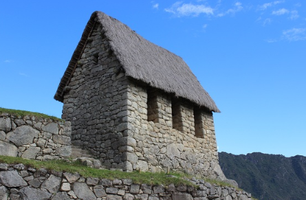 term image
