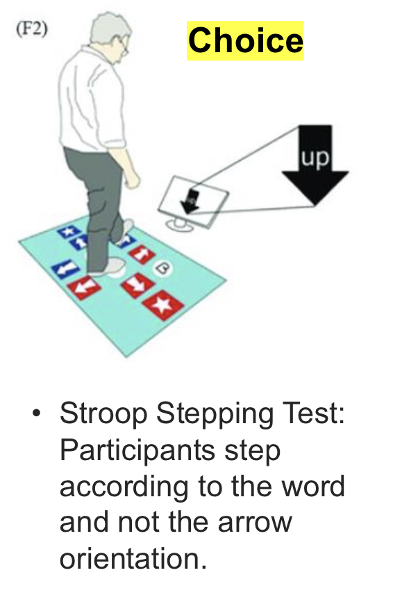 <p>Participants step according to the word and not the arrow of orientation. </p>
