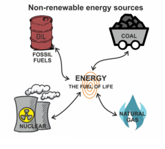 -Coal
-Oil
-Natural Gas
-Nuclear fuels