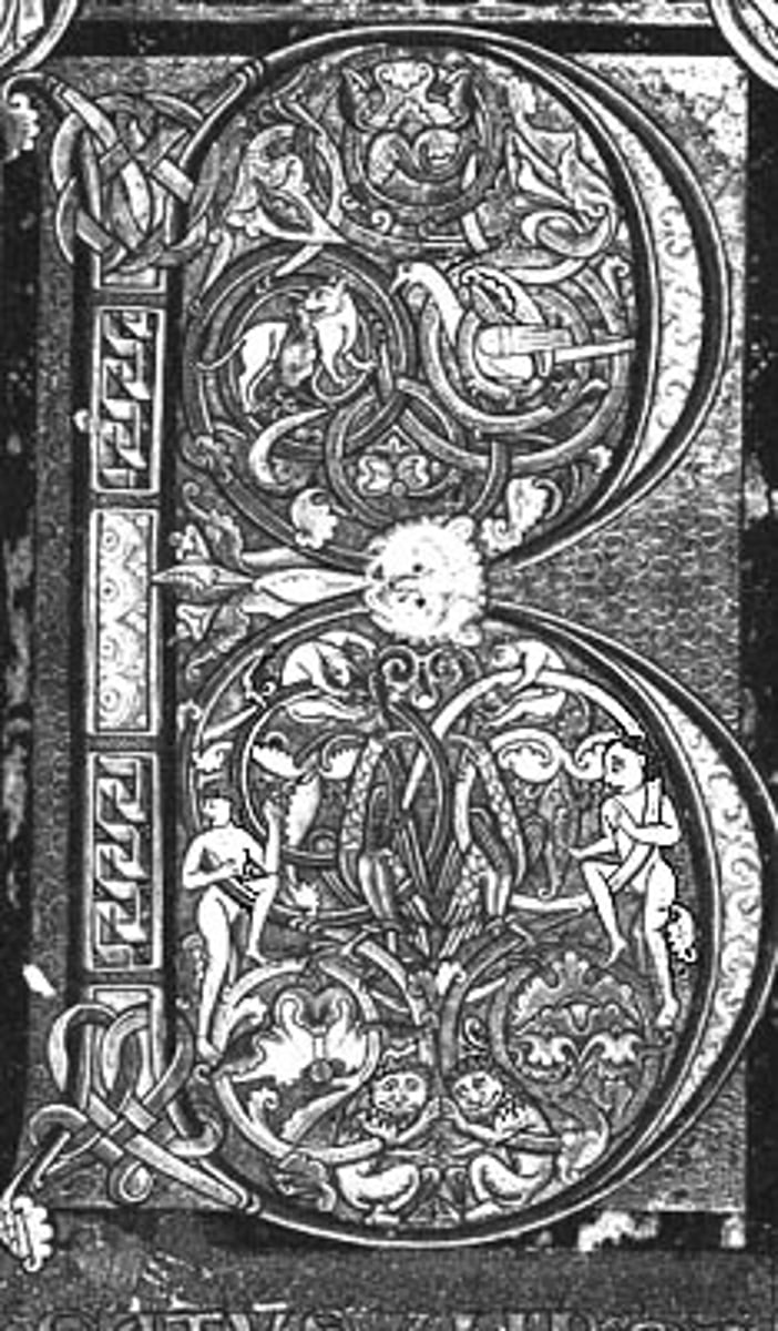 <p>enlarged letter at the beginning of a section of text that contains a picture</p>