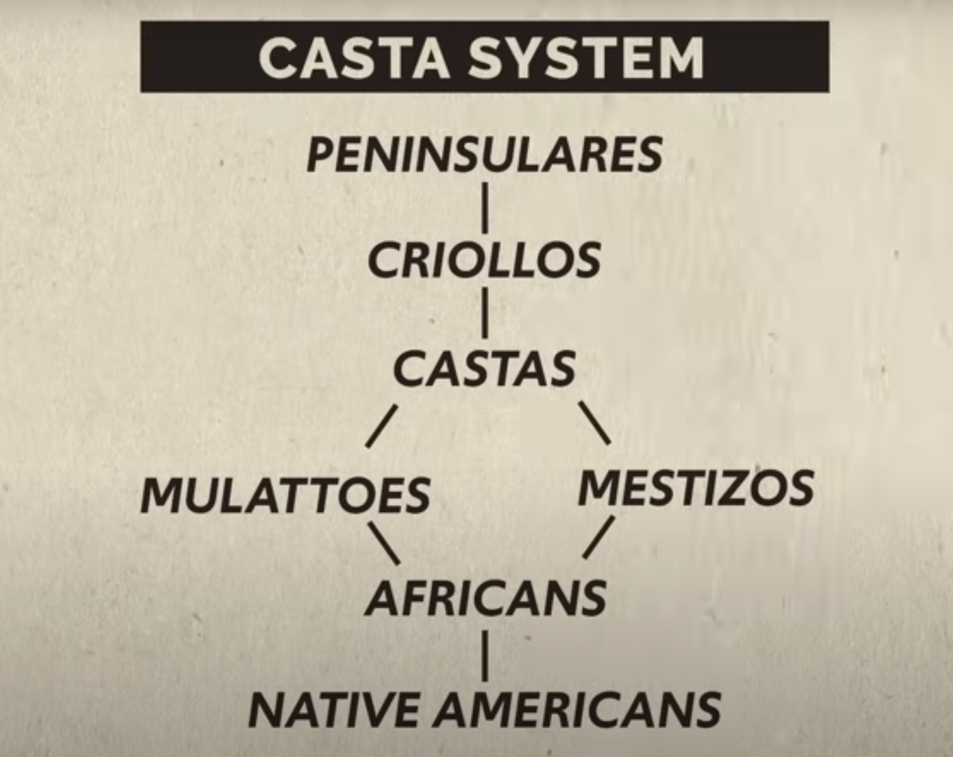<p>Status based on your racial ancestor in the Americas.</p>