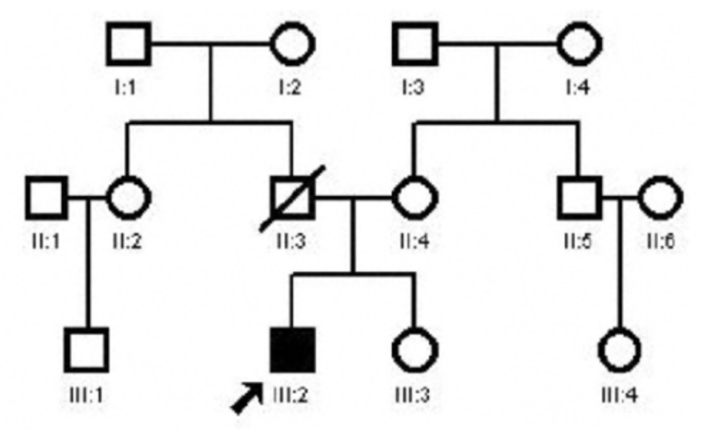 <p>c. paternal aunt</p><p>3 multiple choice options</p>