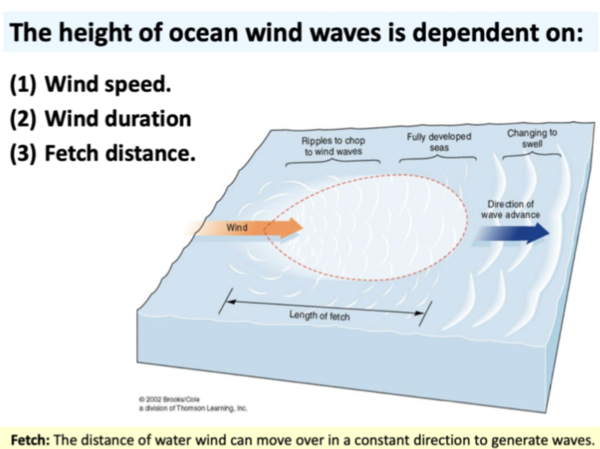 The height of ocean wind waves is dependent on