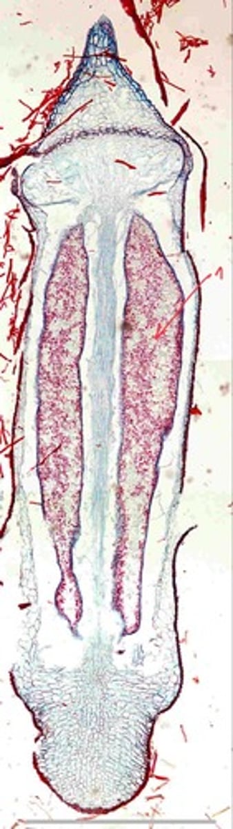 <p>1</p>