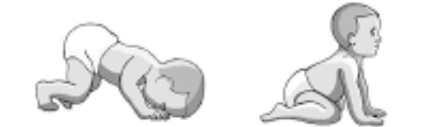 <p><strong>Stimulus:</strong> (1) neck flexion; (2) neck extension</p><p><strong>Response:</strong> (1) arms flex, legs extend; (2) arms extend, legs flex</p><p><strong>Age of Suppression:</strong> 6-7 months</p>