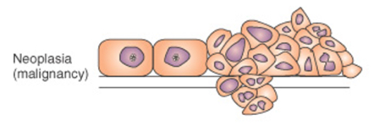 <p>This is an image of?</p>