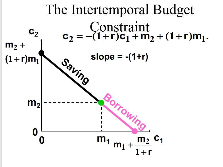 <p>The green dot in the image represents the no lending, no borrowing point, this is because all of current income is spent on current consumption, and all of future income is spent on future income. </p>
