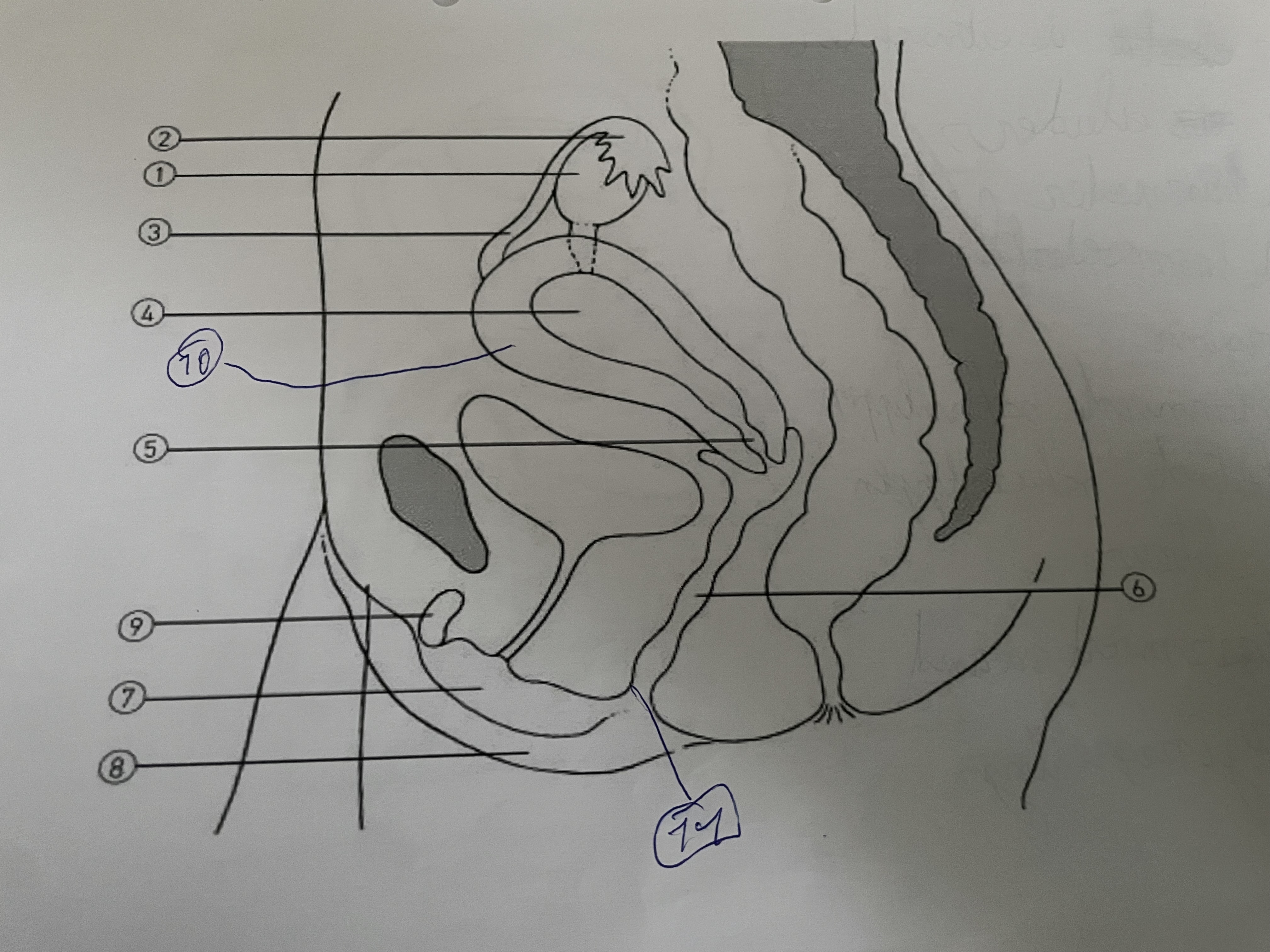 <p>noem de delen</p>