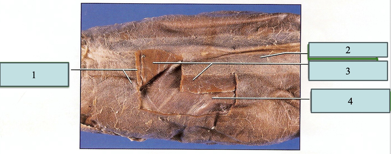 <p>1</p>