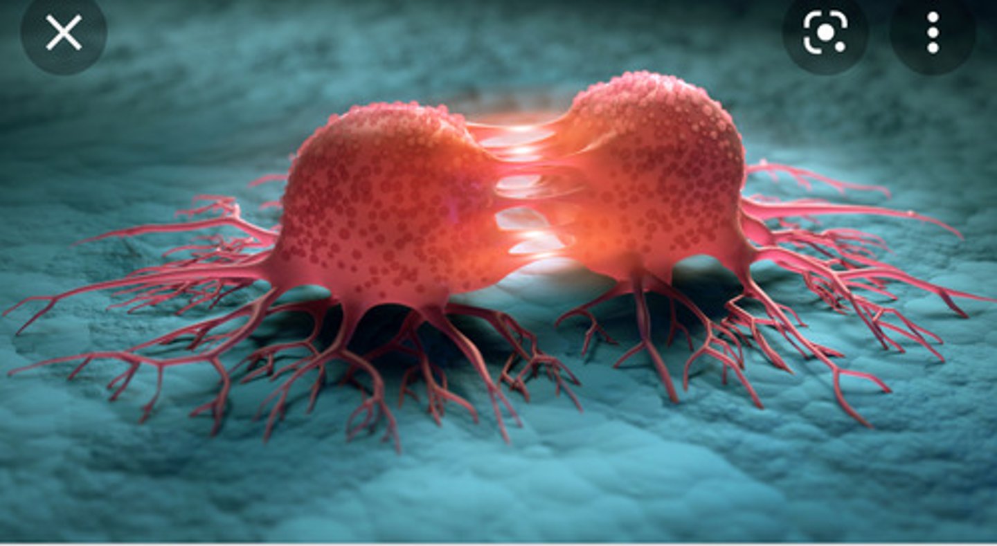 <p>Fellesbetegnelse på en rekke sykdommer grunnet ukontrollert cellevekst. Oppstår når cellene slipper unna kontrollpunktene og begynner å dele seg ukontrollert. Skylds ofte muterte gener som er involvert i cellesyklusen --> unnslipper kontrollmekanismene som normalt begrenser celledelingen. Sjekkpunktene er proteiner (kommer fra DNA og kan være påvirket av muterte gener). Skader i reparasjonsgener --> kreft (skadde gener fikses ikke)</p>