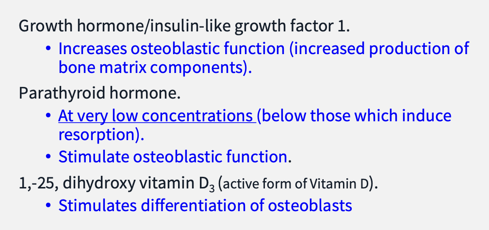 <p>systemic factors stimulating bone formation </p>