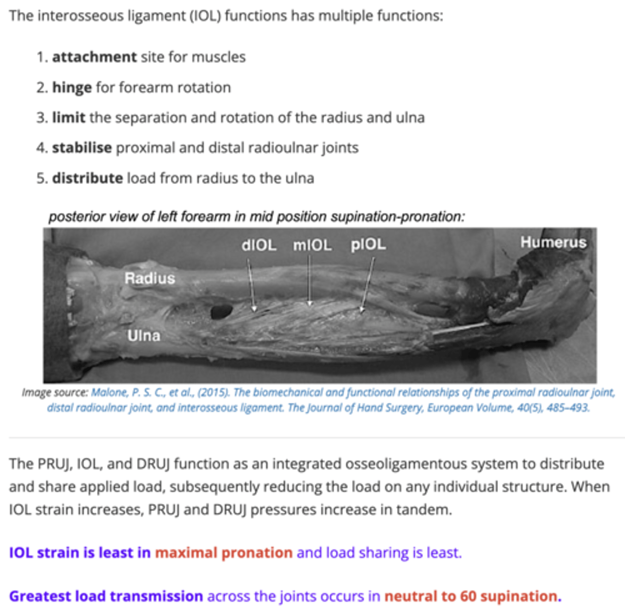 <p>Interosseous membrane (IOM) and interosseous ligament (IOL)</p>
