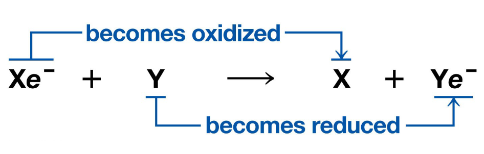 <p>A substance gains electrons and becomes reduced (The amount of positive charge is reduced).</p>