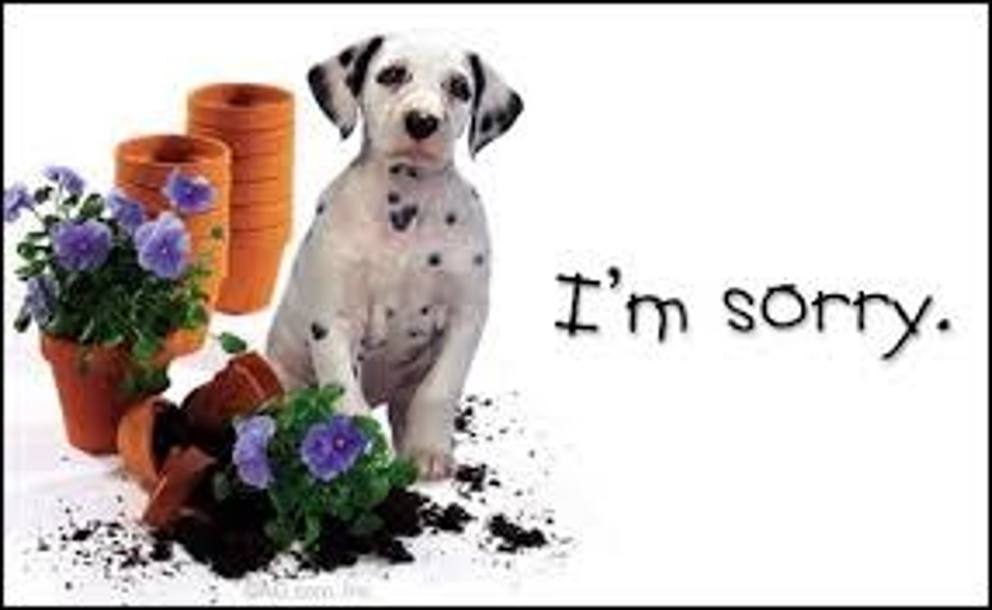 <p>визнавати</p>