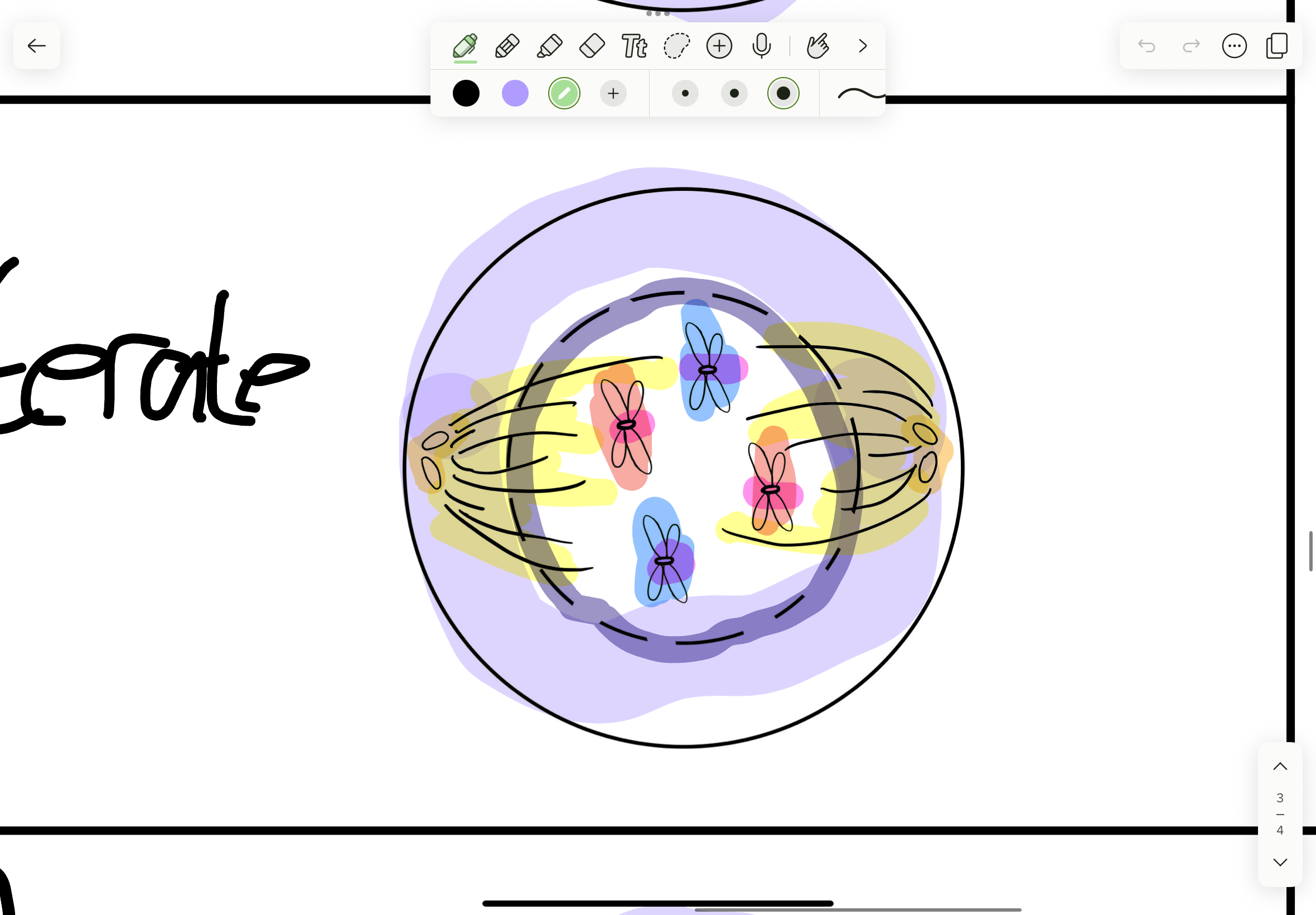 <p>What phase </p>