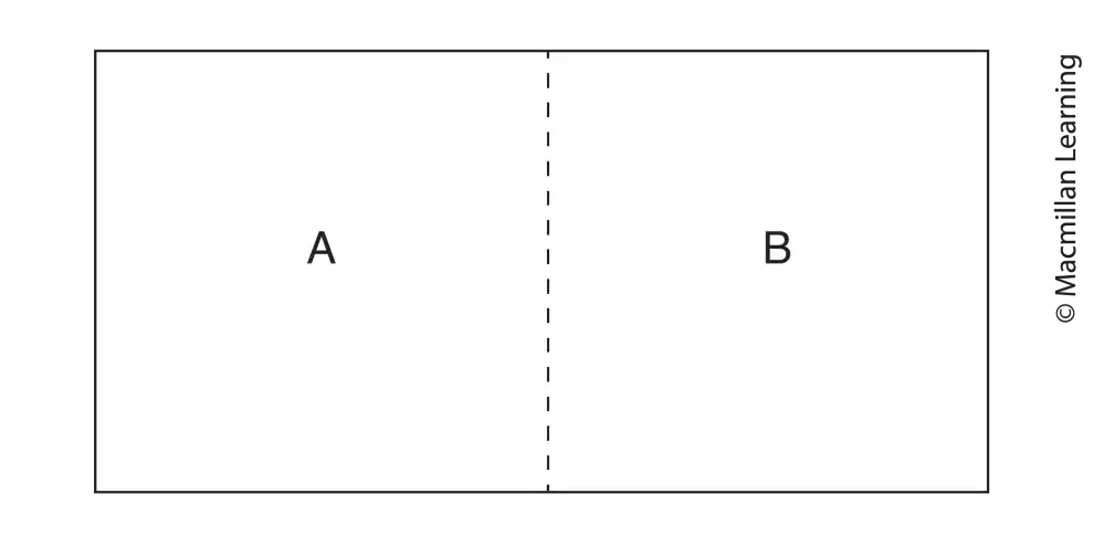 <p>Which of the conditions will result in the greatest rate of diffusion of X into area A?</p>