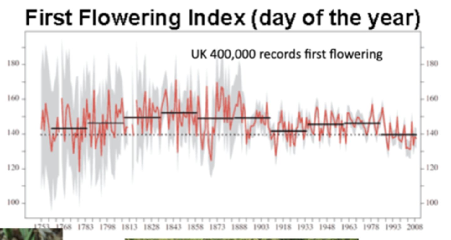 <p>The graph shows the day of the year when plants first flower, based on 400,000 records from the UK; the red line is yearly flowering dates and the gray bands are the uncertainty range</p><p>-over time, flowering is happening earlier in the year (the index has shifted from ~150 days into the year toward ~140), presenting evidence that warming temperatures are altering the timing of biological events (phenology)</p>