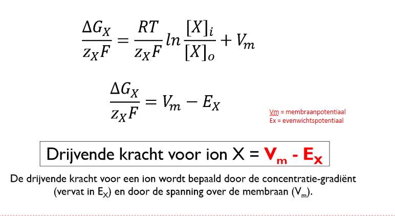 <p>bepaalt richting/stroom negatief of positieef is van ionenstroom door bv ionenkanaal</p><ol><li><p><strong>negatieve</strong>&nbsp;drijvende kracht van<strong> kationen</strong> → kationen cel<strong> in</strong></p></li><li><p><strong>negatieve</strong>&nbsp;drijvende kracht van<strong> anionen</strong>→ anionen cel<strong> uit</strong></p></li><li><p><strong>positieve</strong> drijvende kracht van<strong> kationen → </strong>kationen cel<strong> uit</strong></p></li><li><p><strong>positieve</strong> drijvende kracht van<strong> anionen→ </strong>kationen cel<strong> in </strong></p></li></ol><p></p>