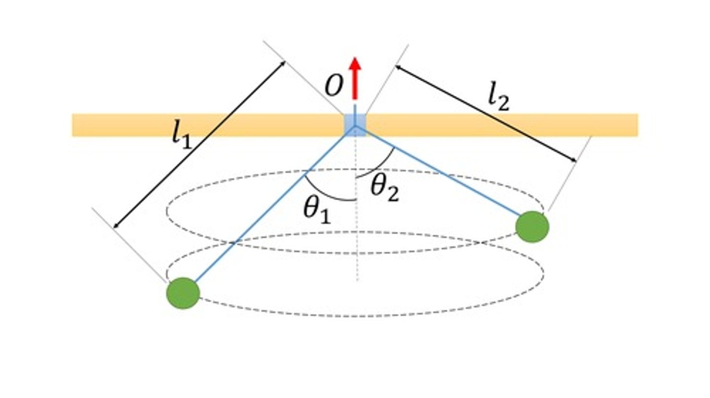 <p>Neither is conserved.</p>