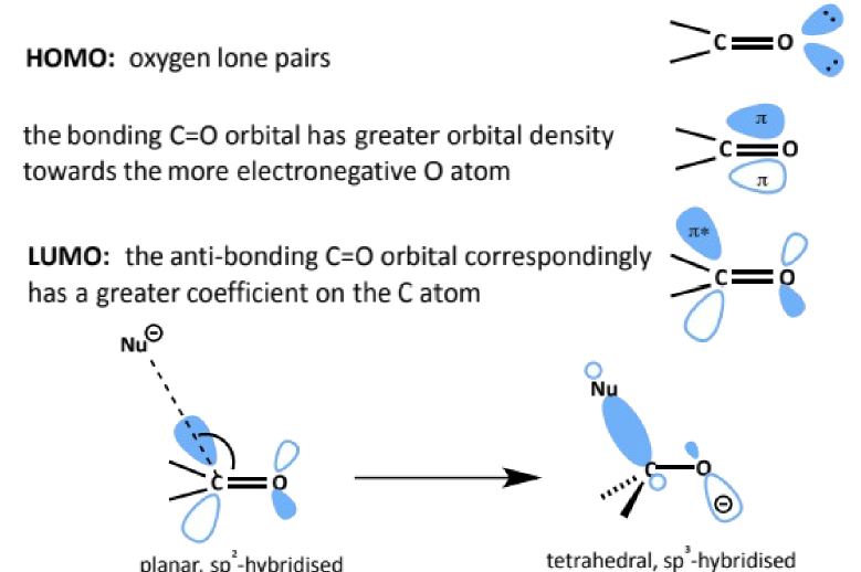 <ul><li><p>the C=O bond is strong but polarised</p></li><li><p>nucleophilic species are attracted to the partially positive carbon where they can attack the large lobe of the low-lying LUMO (C=O π*)</p></li><li><p>the bonding C=O orbital has greater orbital density towards the more electronegative O atom</p></li><li><p>the antibonding C=O orbital correspondingly has a greater coefficient on the C atom</p></li></ul><p></p>
