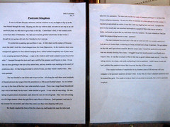essay